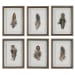 Birds Of A Feather - Framed Prints (Set of 6)