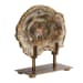 Petrified - Wood Sculpture - Bronze / Brown / Woodtone