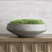Cale - Moss Centerpiece - Green