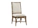 Twin Palms - Summer Isle Upholstered Side Chair - Light Brown