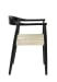 Sorrento - Arm Chair (Set of 2) - Darl Brown