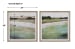 Vivid Vista - Framed Prints (Set of 2) - Green