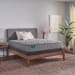 Opal House - Soft Tight Top Mattress - Queen