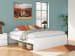 Onita - King Platform Bed - White