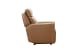 Chester - 3P Recliner - Florida-Saddle