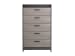 Central Park - Two-tone - Five Drawer Chest