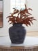 Meadie - Distressed Black - 12" Vase