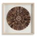Tiger Sea Urchin - Shadow Box - Brown