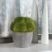 Cale - Moss Accent - Green