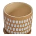 Botanical - 4.5" Planter - Natural