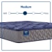Grand Jewel - Medium Tight Top Mattress - Twin