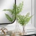 Country - Ferns (Set of 2)