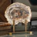 Petrified - Wood Sculpture - Bronze / Brown / Woodtone