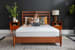 Tempur-Pedic - Protector Mattress - King