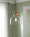 Farica - Transparent - Glass Pendant Light 