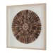 Tiger Sea Urchin - Shadow Box - Brown