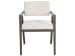 Modern - Arm Chair - Sable