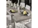Modern - Desmond Dining Table - Pearl Silver