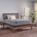 Royal Cove - Soft Tight Top Mattress - Twin