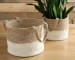 Parrish - Natural / White - Basket Set (Set of 2)