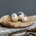 Nest Trio - Indoor-Outdoor Stone Eggs (Set of 3) - Black / White