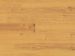 COREtec Plus 5" Plank Norwegian Maple Collection