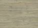 COREtec One Plymouth Oak Collection