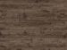 COREtec Plus XL Enhanced Moran Oak Collection