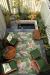 Couristan Dolce Flowering Fern Ivory/Hunter Green Room Scene