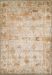 Dalyn Antiquity Aq1 Ivory / Tangerine 7'10" x 10'7" Collection