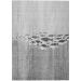 Addison Rugs Chantille Gray 2'6" x 3'10" Collection