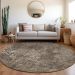 Addison Rugs Chantille Fudge 8'0" x 8'0" Round Room Scene