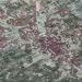 Addison Rugs Chantille Fern 3'0" x 5'0" Room Scene
