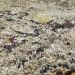 Dalyn Rugs Aero AE8 Mocha Room Scene
