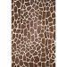 Dalyn Rugs Akina AK4 Chocolate Collection