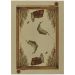 Dalyn Rugs Excursion EX5 Beige Collection