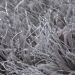 Dalyn Rugs Impact IA100 Silver Room Scene