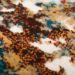 Dalyn Rugs Karma KM26 Multi Room Scene