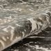 Dalyn Rugs Karma KM28 Grey Room Scene
