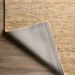 Dalyn Rugs Reya RY7 Desert Room Scene