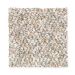 Mohawk Equinox Aspen Bark