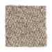 Mohawk Everett Berber Beige