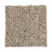 Mohawk Embassy Berber Beige