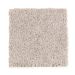 Mohawk Donovan Pass Real Taupe