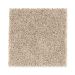 Mohawk Donovan Pass Dark Stucco