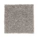 Mohawk Donovan Pass Pewter