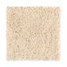 Mohawk Prime Cut Brushed Almond