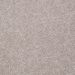 Mohawk Prime Cut Taupe Allure