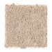 Mohawk New Resource Camel Coat