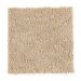 Mohawk Dramatic Flair Courtyard Tan